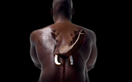 3d обои спиной сидит обнажённый чернокожий  мужчина,а из спины появляется голова слона  слоны