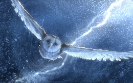 3d обои Ночной страж — сова, наперекор буре с дождём и молниями облетает свои владения из мультфильма «Легенды ночных стражей» / «Legend of the Guardians: The Owls of Ga’Hoole»  молнии