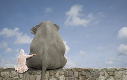 3d обои Девочка обнимает своего единственного друга - огромного слона  сюрреализм