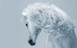 3d обои Белая лошадь грива которой украшена белыми цветами  лошади