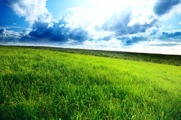 3d обои Зеленая трава и красивое голубое небо с облаками  лето