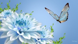 3d обои Бабочка порхает возле голубых цветков (madonna)  насекомые